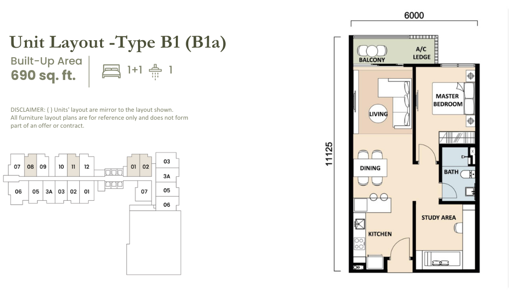 type B1a ekotitiwangsa