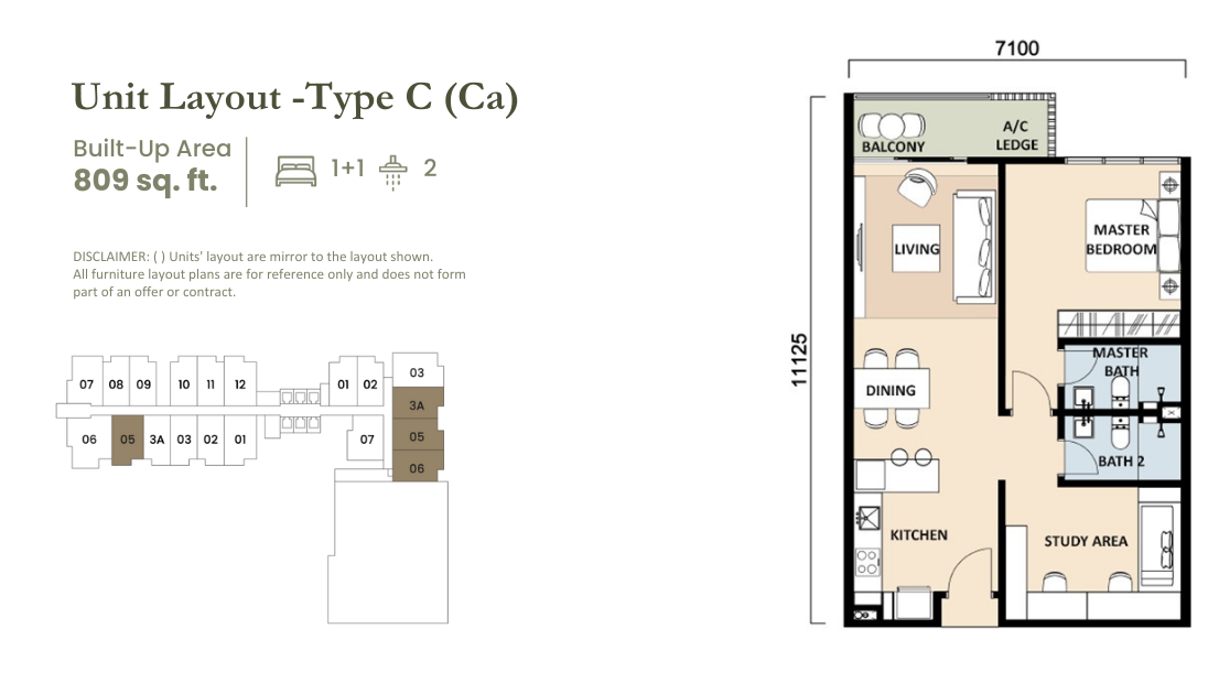type Ca ekotitiwangsa